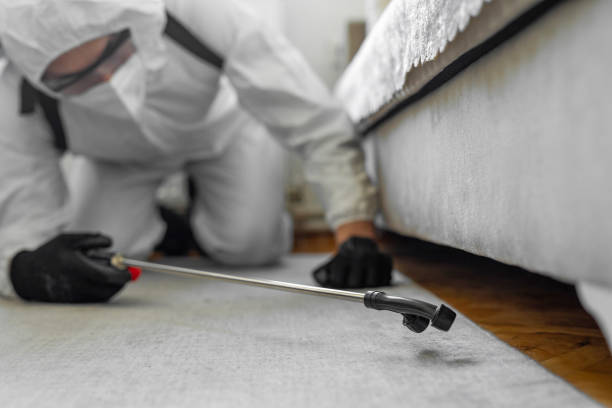 Professional Termite Control technician working in Raoul, GA