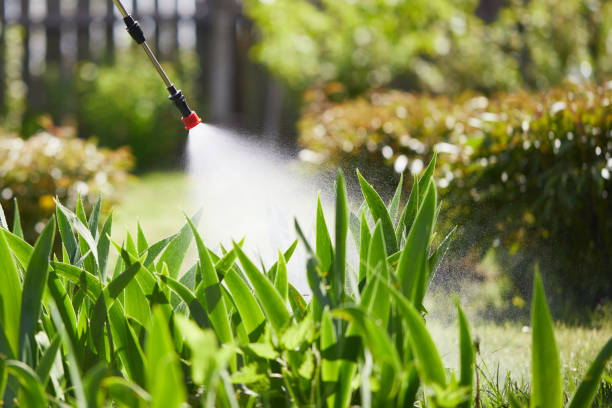 24/7 Emergency Termite Control experts in Raoul, GA