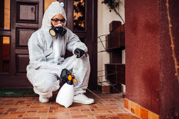 Reliable Termite Control contractor in Raoul, GA by Nex Pest Control