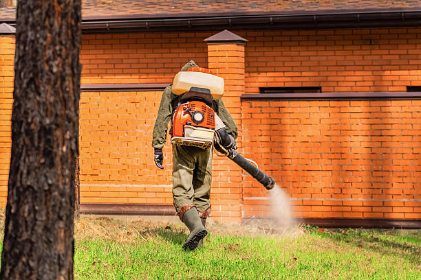 Top rated local Termite Control specialists in Raoul, GA